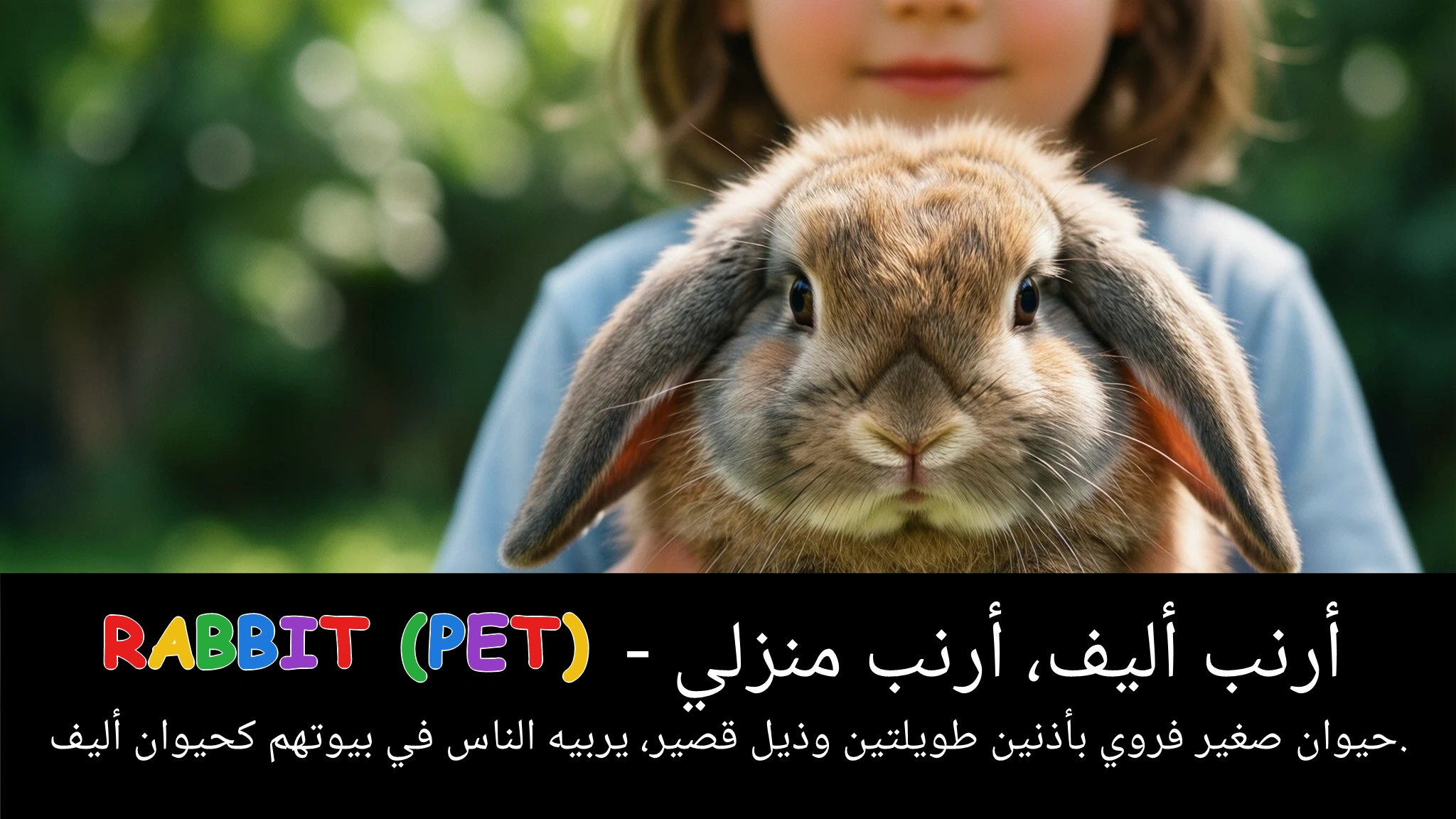 Arabic Illustration for rabbit (pet)